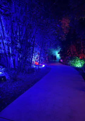 Photo 3 from San Diego Botanic Garden in Encinitas