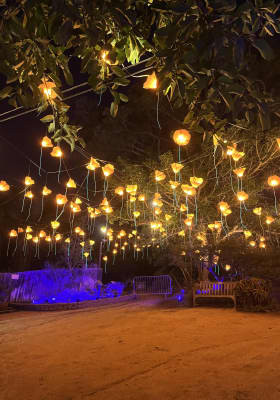 Photo 1 from San Diego Botanic Garden in Encinitas