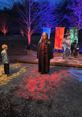 Photo 2 from Cub World