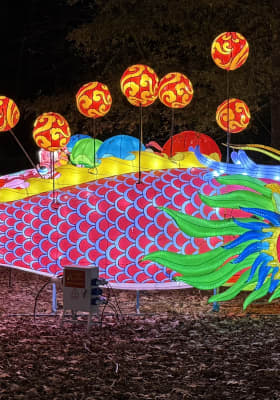 Photo 2 from Jamestown Settlement