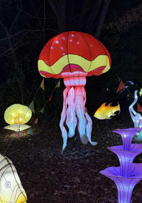 Photo 1 from Jamestown Settlement