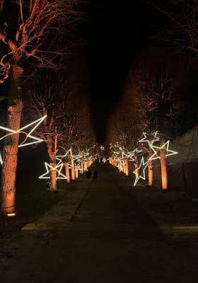 Photo 6 from Lumières en Seine