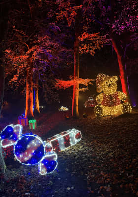 Photo 4 from Lumières en Seine