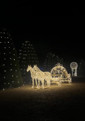 Photo 3 from Lumières en Seine