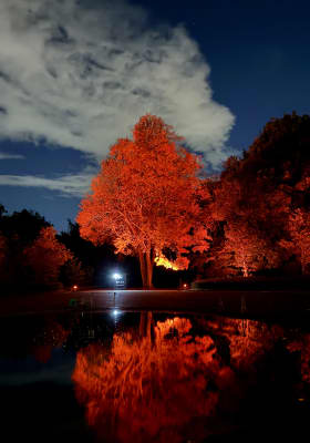 Photo 10 from 京都府立植物園 (Kyoto Botanical Gardens)