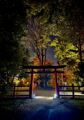 Photo 9 from 京都府立植物園 (Kyoto Botanical Gardens)