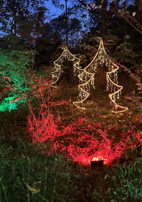 Photo 9 from Fort Worth Botanic Garden