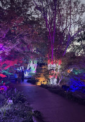 Photo 11 from Fort Worth Botanic Garden