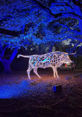 Photo 10 from Fort Worth Botanic Garden