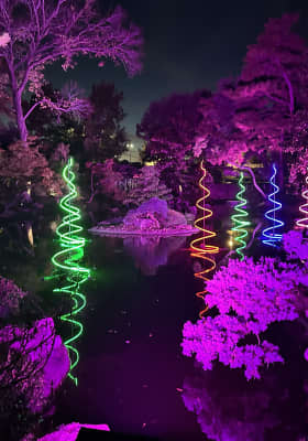 Photo 8 from Fort Worth Botanic Garden