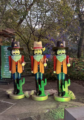 Photo 7 from Fort Worth Botanic Garden