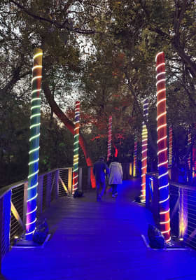 Photo 6 from Fort Worth Botanic Garden