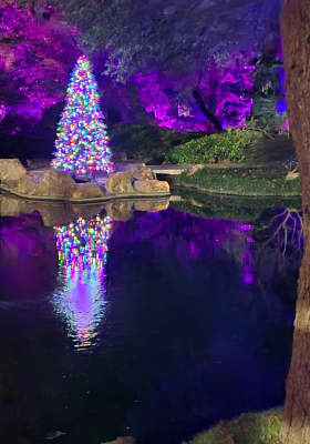 Photo 1 from Fort Worth Botanic Garden