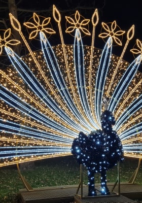 Photo 6 from Schlosspark Schönbrunn