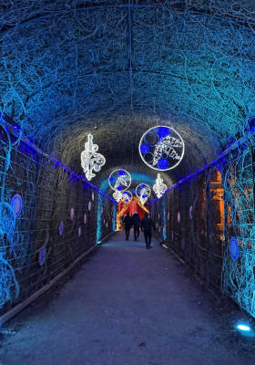 Photo 4 from Schlosspark Schönbrunn