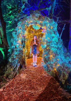 Photo 4 from Stanley Park