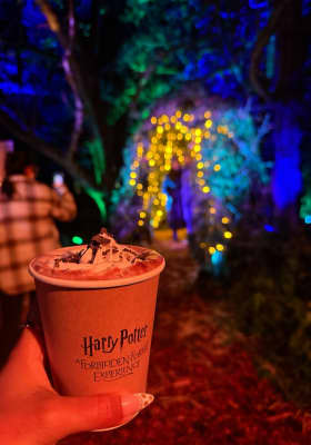 Photo 2 from Stanley Park