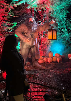 Photo 1 from Stanley Park