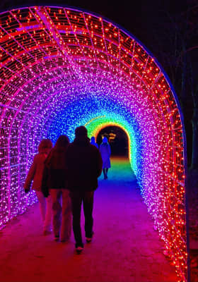 Photo 2 from Lumières en Seine