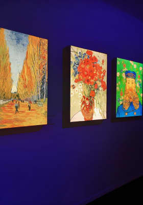 Photo 16 from Utopia