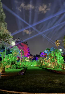 Photo 9 from Fairchild Tropical Botanic Garden