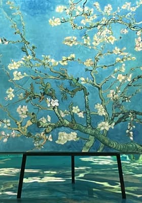 Photo 14 from Utopia