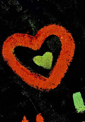 Photo 17 from Festival Brilla