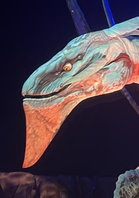 Photo 6 from Espacio Delicias