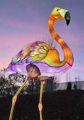 Photo 17 from Parque de la Alhóndiga