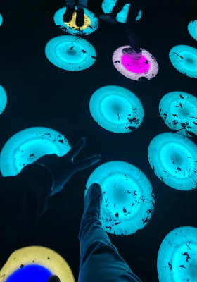 Photo 16 from Festival Brilla