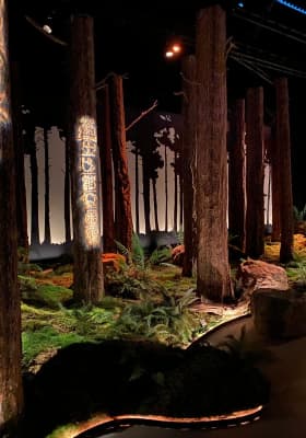 Photo 7 from Cornelia Poletto PALAZZO Hamburg