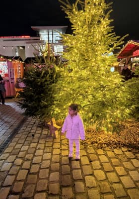 Photo 4 from Fontaine aux Lions