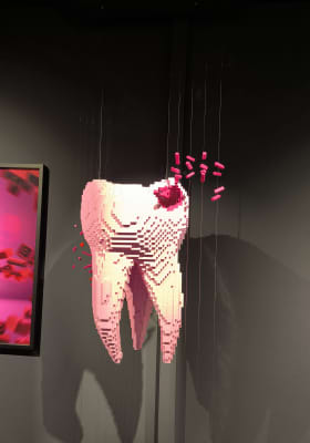 Photo 14 from EuraTechnologies