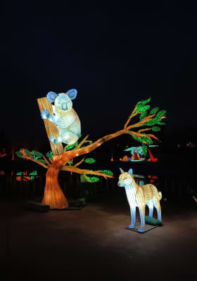 Photo 12 from Parque de la Alhóndiga