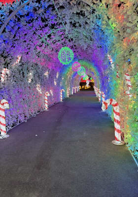 Photo 14 from Wan Chai Harbourfront Event Space - 灣仔海濱活動空間 - C區