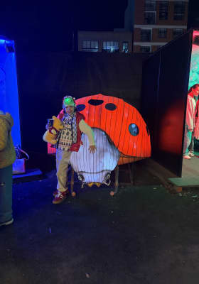 Photo 9 from Festival Brilla