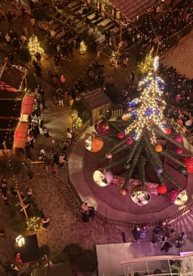 Photo 2 from Fontaine aux Lions