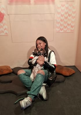 Photo 6 from Festival Brilla