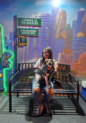 Photo 5 from Festival Brilla