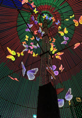 Photo 13 from Wan Chai Harbourfront Event Space - 灣仔海濱活動空間 - C區