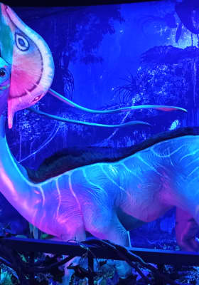 Photo 2 from Espacio Delicias