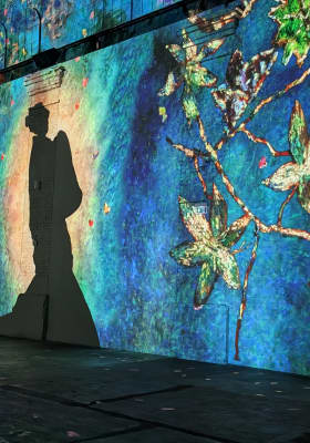 Photo 20 from Phoenix des Lumières