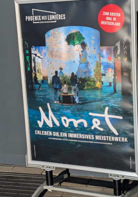 Photo 19 from Phoenix des Lumières