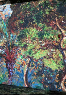 Photo 18 from Phoenix des Lumières