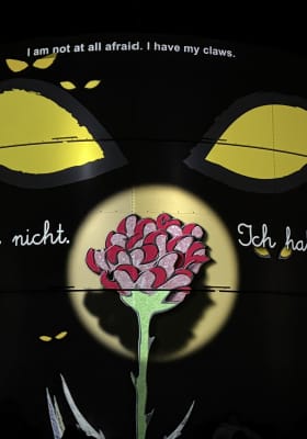 Photo 17 from Phoenix des Lumières