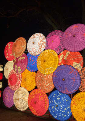 Photo 8 from Jardin d'Acclimatation