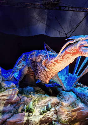 Photo 17 from Espacio Delicias