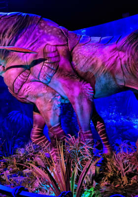 Photo 12 from Espacio Delicias