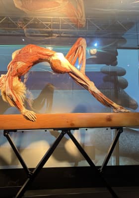 Photo 18 from Northbridge Centre