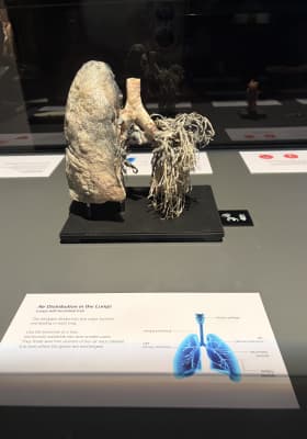 Photo 17 from Northbridge Centre